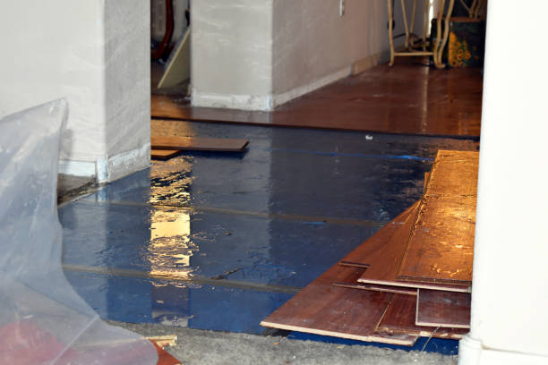 Professional Burst Pipe Cleanup technician working in Patton, CA